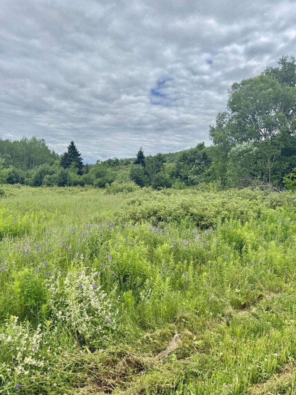 Photo of M4 L8 Conroy Road, Perham, ME 04766 (MLS # 1671605)