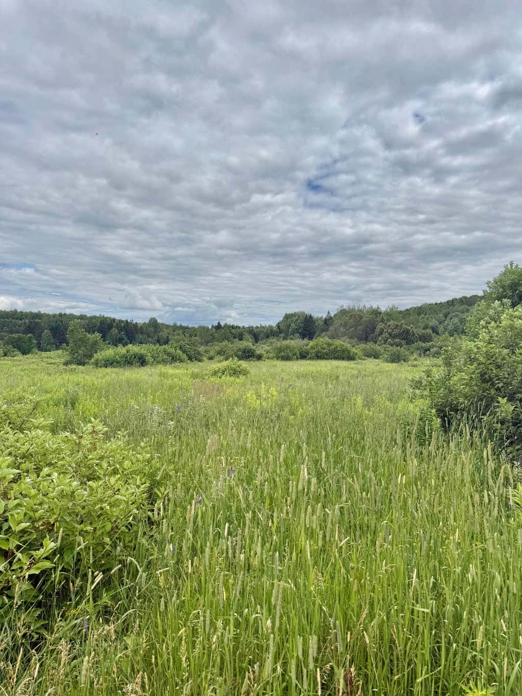 Photo of M4 L8 Conroy Road, Perham, ME 04766 (MLS # 1671605)
