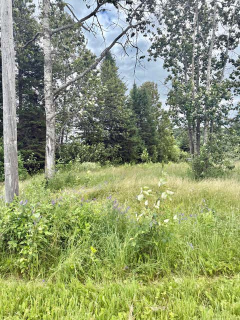 Photo of M4 L8 Conroy Road, Perham, ME 04766 (MLS # 1671605)