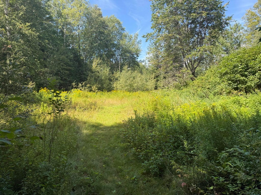 Photo of M34L44.2C Curley Road, Rangeley Plt, ME 04970 (MLS # 1677321)