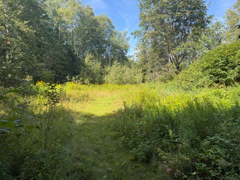 Photo of M34L44.2C Curley Road, Rangeley Plt, ME 04970 (MLS # 1677321)