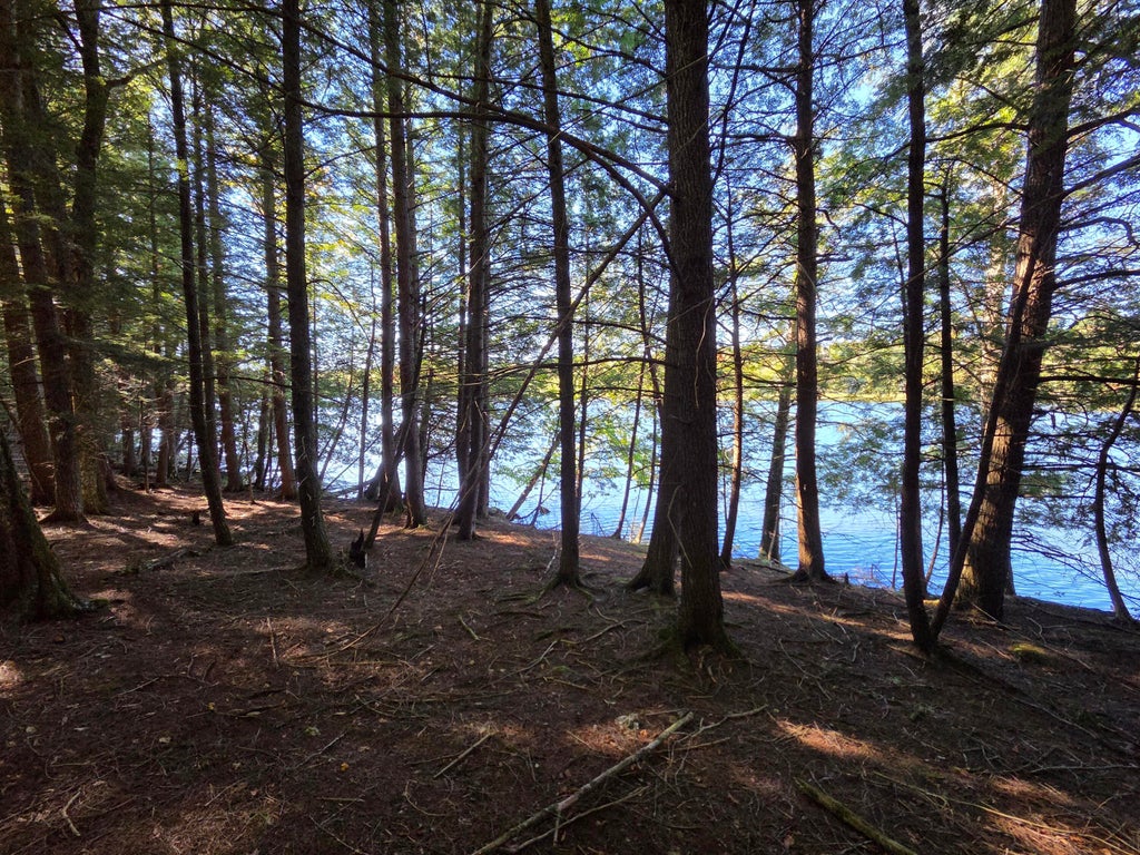 Photo of 5 Kolm Lane, Garland, ME 04939 (MLS # 1682106)