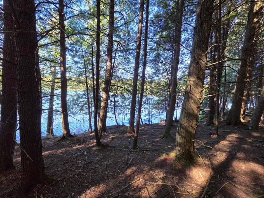 Photo of 5 Kolm Lane, Garland, ME 04939 (MLS # 1682106)