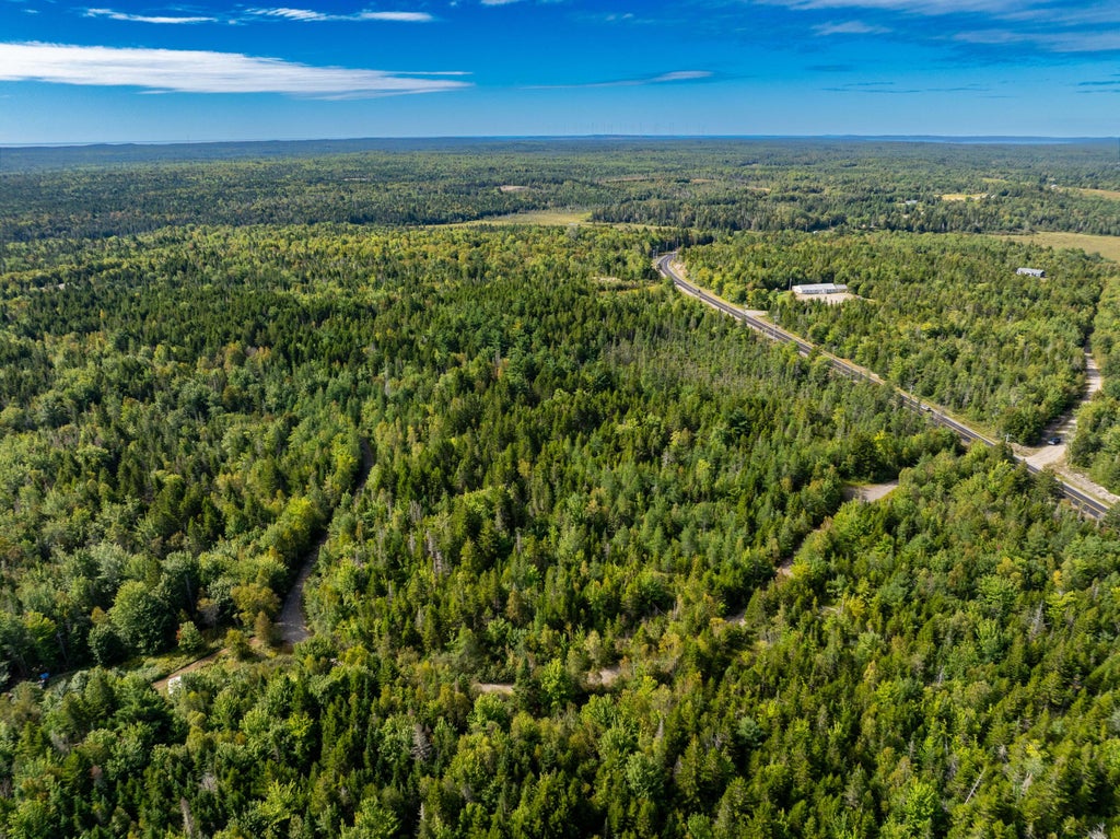 Photo of M7 L2-1 Reynolds Brook Road, Whiting, ME 04691 (MLS # 1680060)