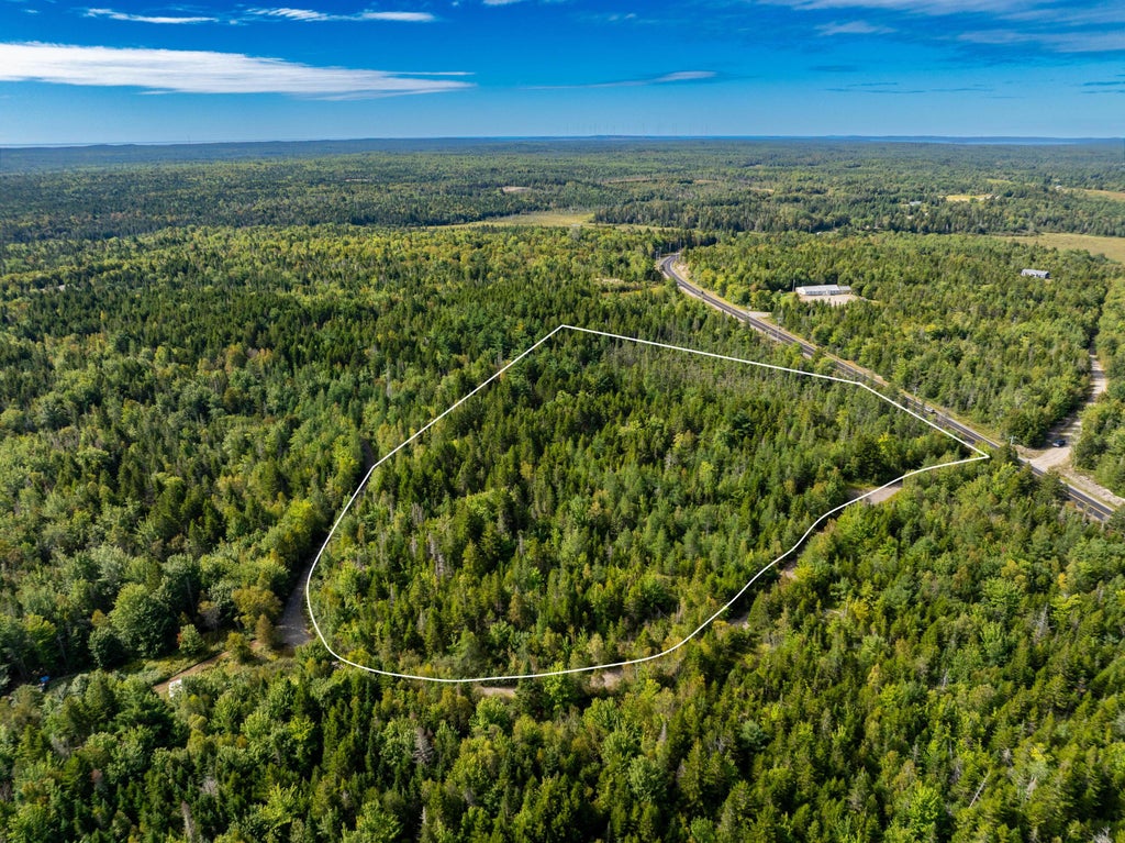 Photo of M7 L2-1 Reynolds Brook Road, Whiting, ME 04691 (MLS # 1680060)