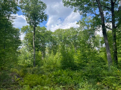 Photo of 0 Old County Road, Lyman, ME 04002 (MLS # 1679324)