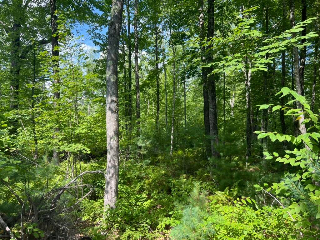 Photo of 0 Old County Road, Lyman, ME 04002 (MLS # 1679324)