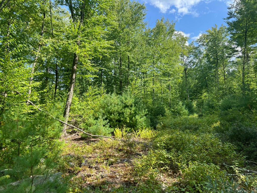 Photo of 0 Old County Road, Lyman, ME 04002 (MLS # 1679324)