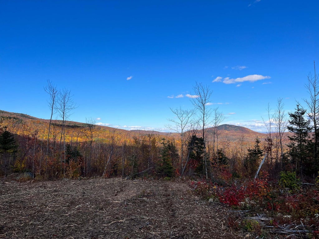 Photo of 10W Mountain View Drive, Temple, ME 04984 (MLS # 1670580)