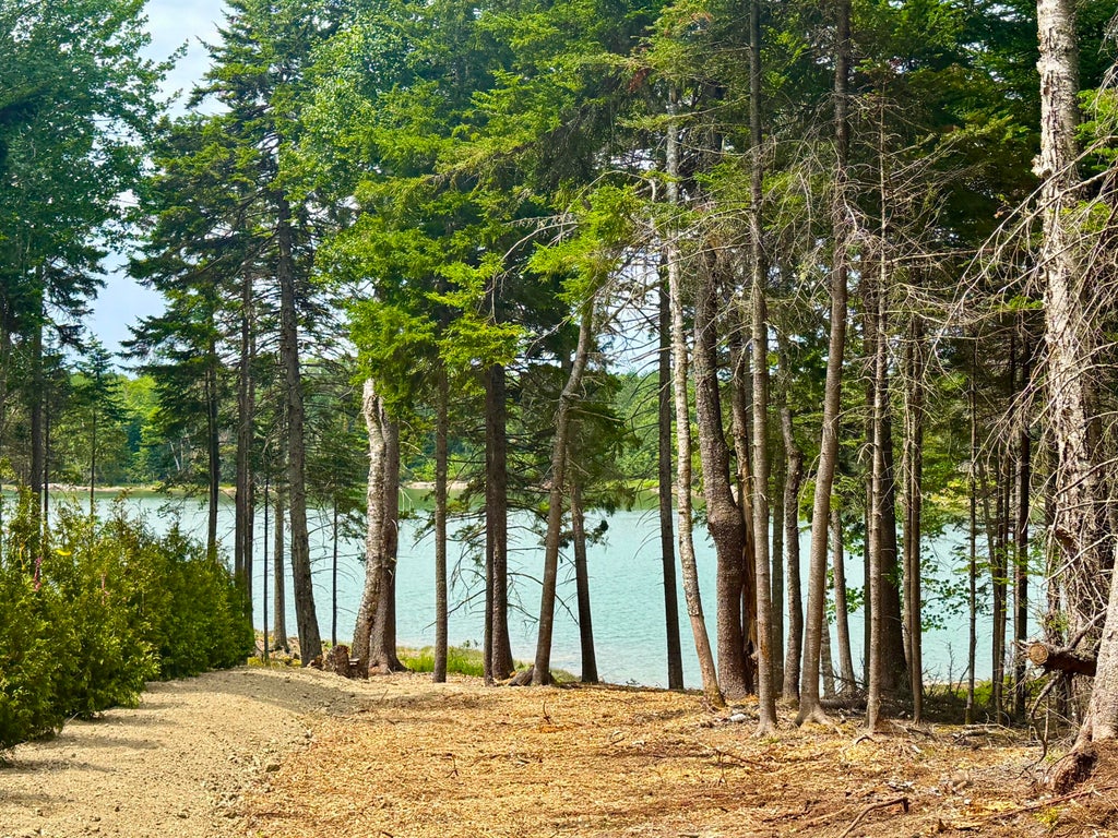 Photo of 93 Goods Point Road #Lot 2, Steuben, ME 04680 (MLS # 1667193)