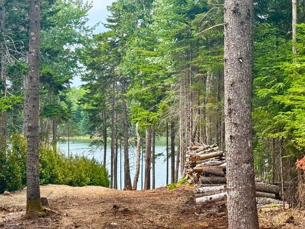 Photo of 93 Goods Point Road #Lot 2, Steuben, ME 04680 (MLS # 1667193)