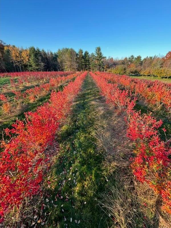Photo of 571 Main Street, Monmouth, ME 04259 (MLS # 1680268)