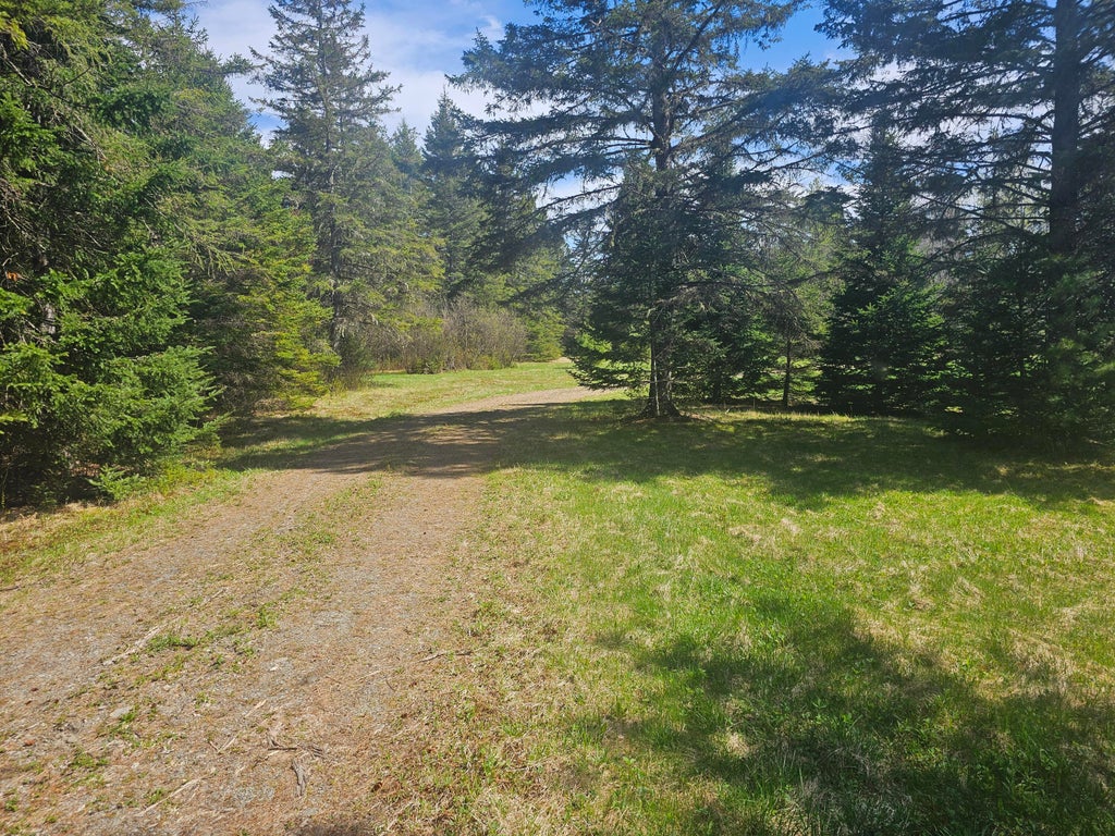Photo of 631 Crystal Road, Crystal, ME 04747 (MLS # 1662542)