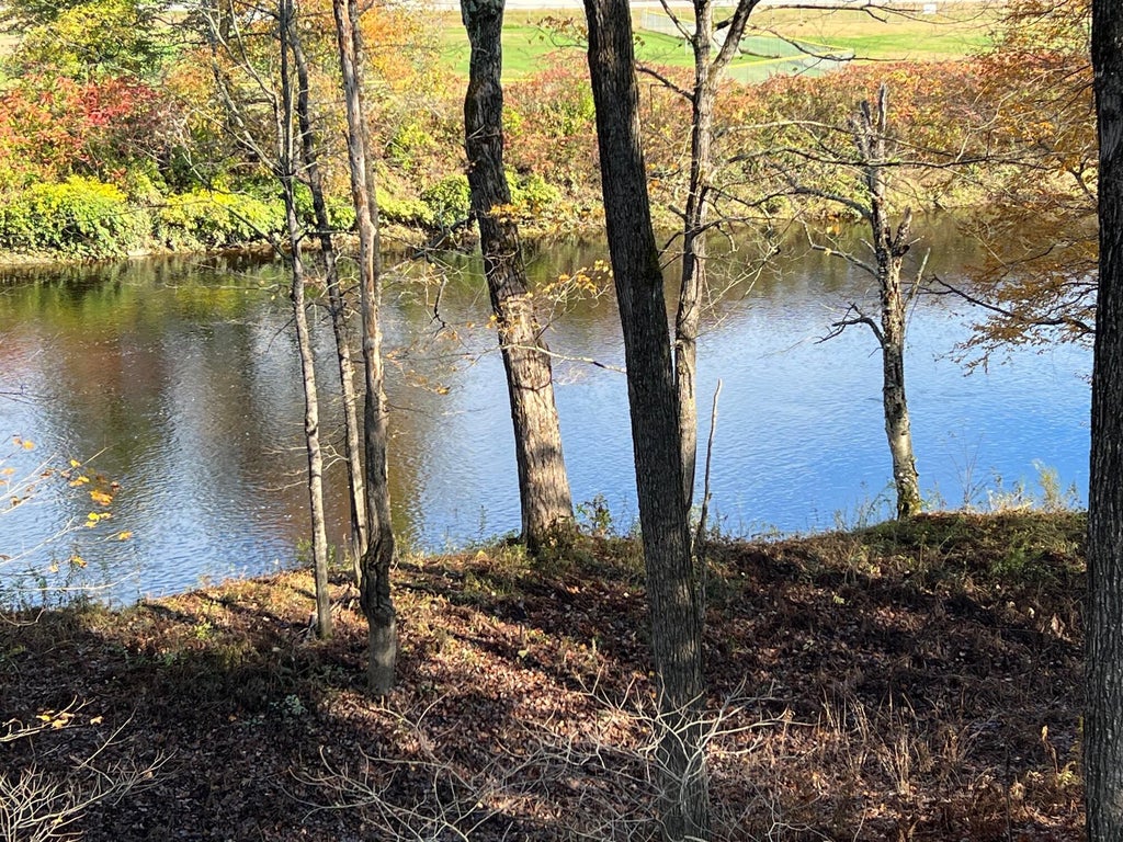 Photo of 18 Riverside Terrace, Guilford, ME 04443 (MLS # 1649707)