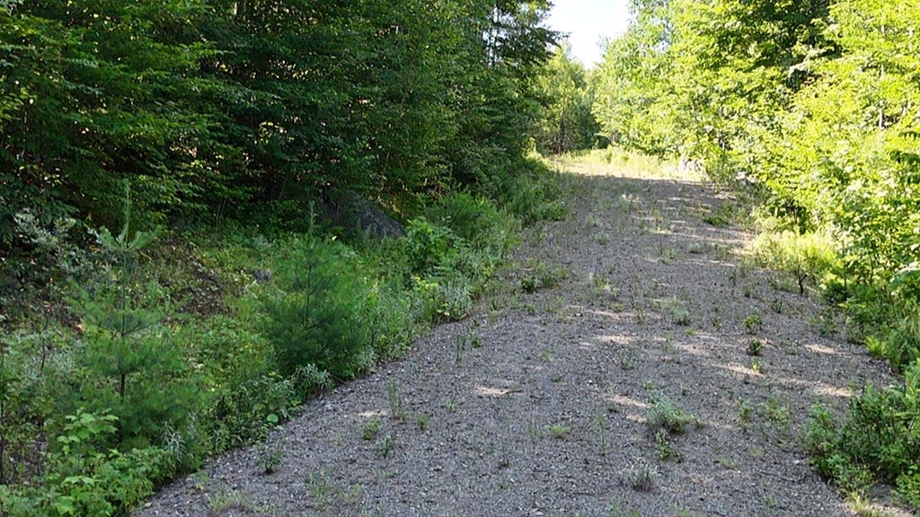 Photo of 2 Lower Vose Road, Kingfield, ME 04947 (MLS # 1670178)