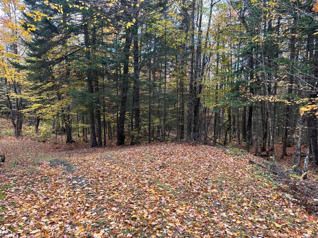 Photo of Lot 6A Ridge Road, Rockwood T1 R1 NBKP, ME 04478 (MLS # 1683734)