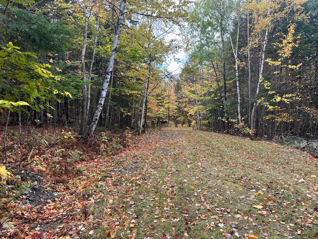 Photo of Lot 6A Ridge Road, Rockwood T1 R1 NBKP, ME 04478 (MLS # 1683734)