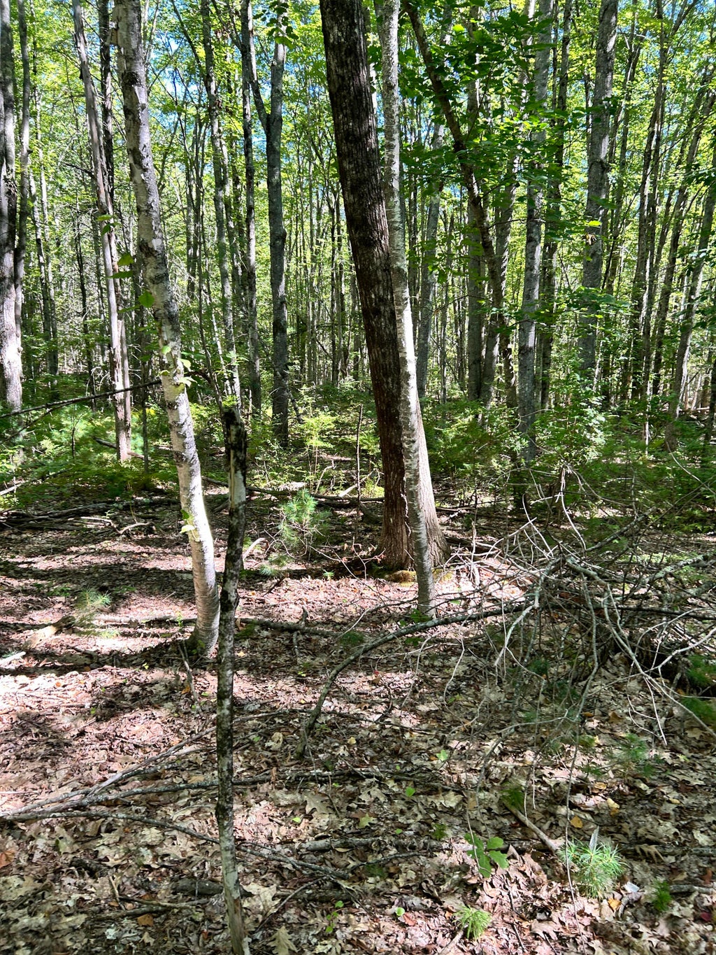 Photo of #56 S South Waterboro Road, Lyman, ME 04002 (MLS # 1678489)