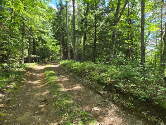 8 E ANDOVER RD, EAST ANDOVER, ME 04226 - Image ebc6aaabbb22eada2e506d76c54b8de0/3611213384