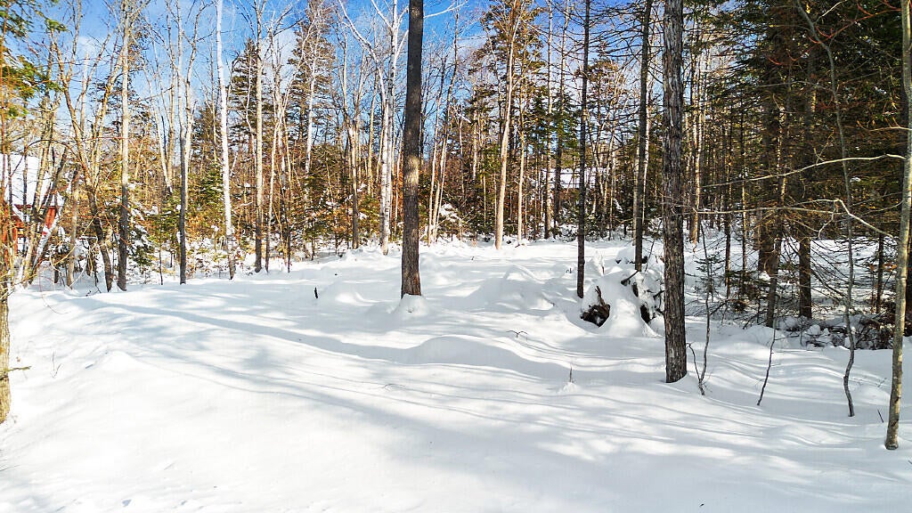 Photo of 2010 Pine Road, Carrabassett Valley, ME 04947 (MLS # 1638973)
