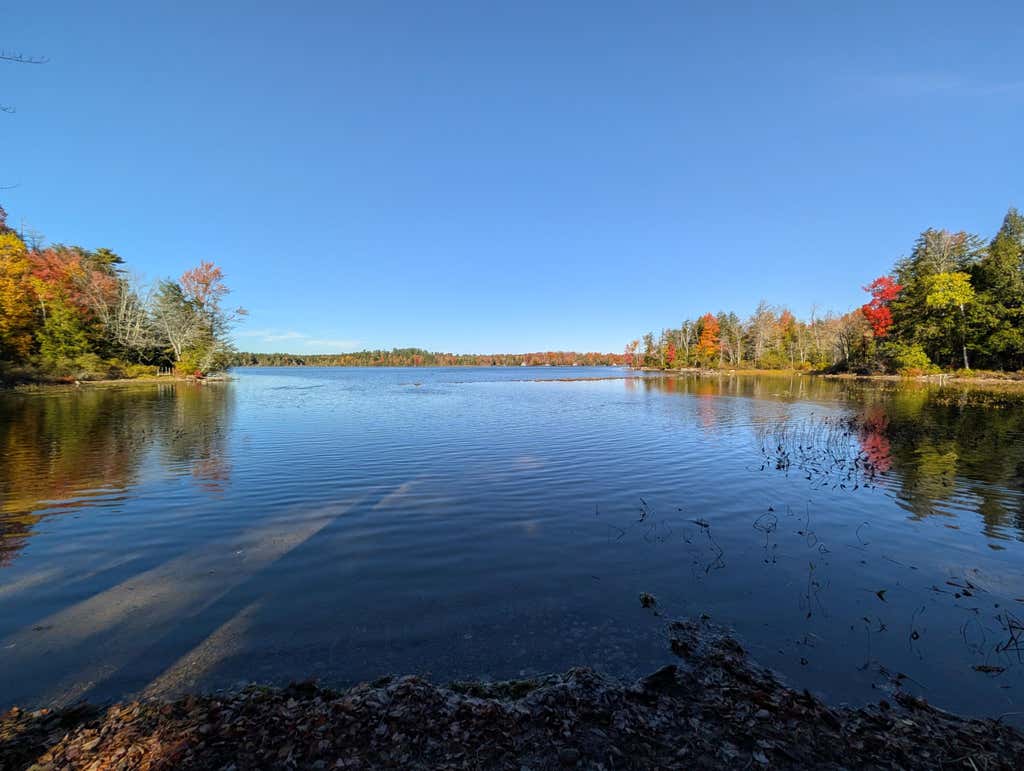 Photo of 137 Loon Cove, Stetson, ME 04488 (MLS # 1675013)