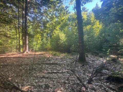 Photo of Map5/Lot53 Bangor Road, Troy, ME 04987 (MLS # 1672498)