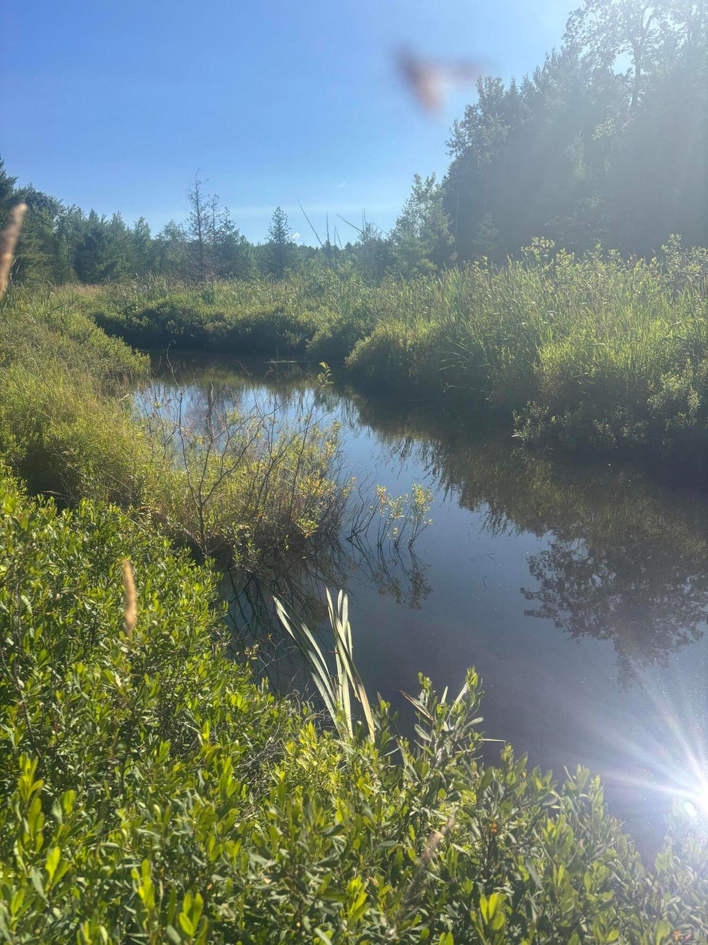 Photo of Map5/Lot53 Bangor Road, Troy, ME 04987 (MLS # 1672498)