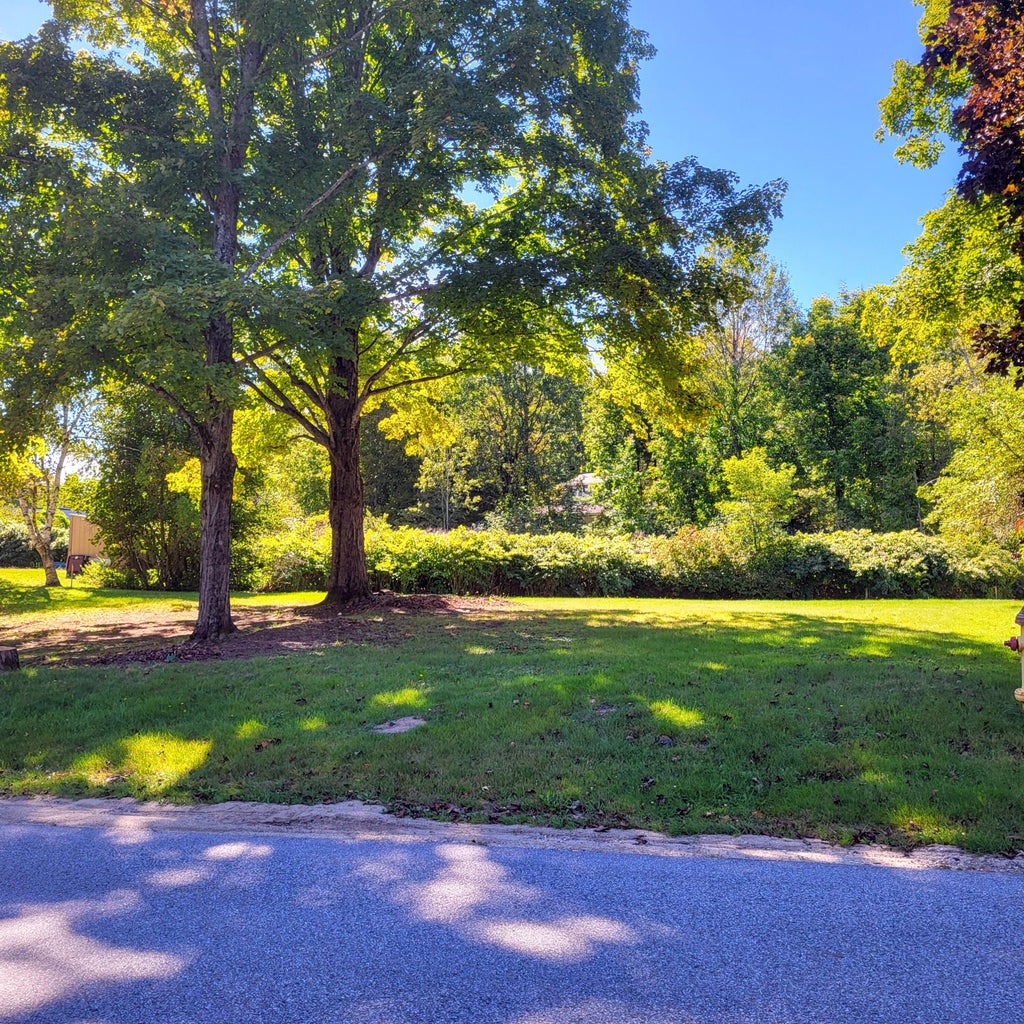 Photo of Lot U09-14 Nichol Street, Paris, ME 04281 (MLS # 1681319)