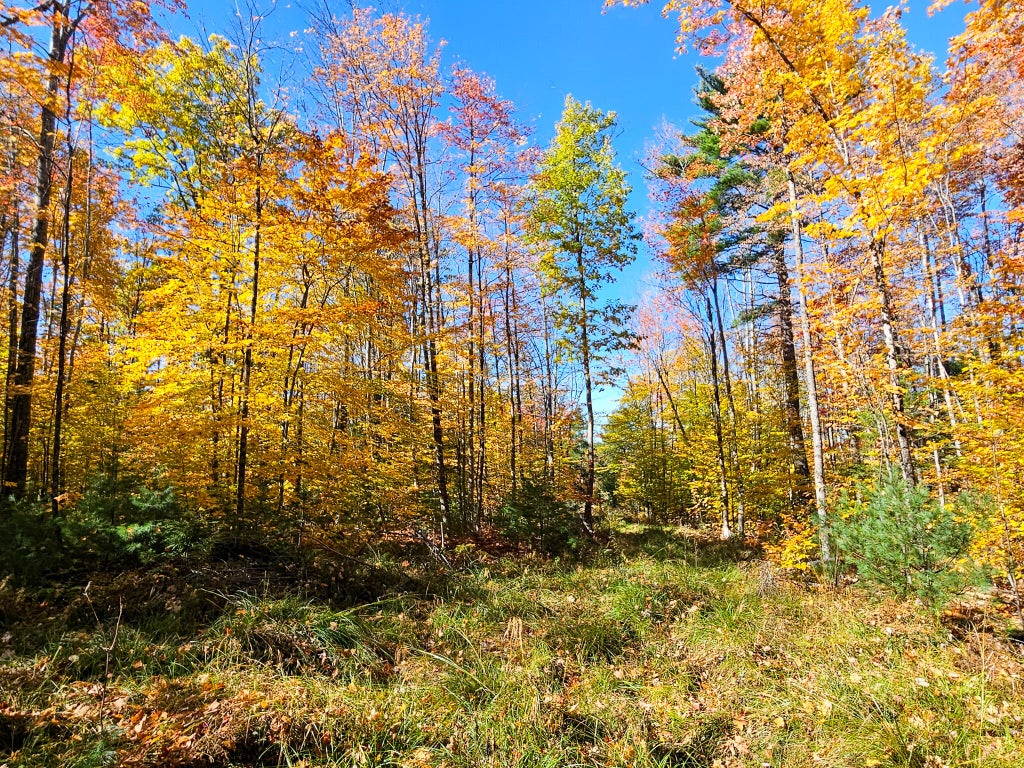 Photo of M13 L55 Holman Road, Peru, ME 04290 (MLS # 1684965)