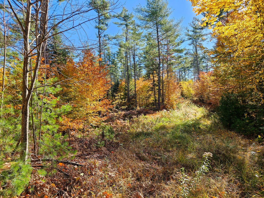 Photo of M13 L55 Holman Road, Peru, ME 04290 (MLS # 1684965)