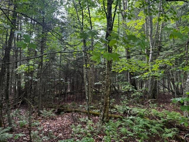 Photo of 44 Dore Hill Road, Athens, ME 04912 (MLS # 1667011)