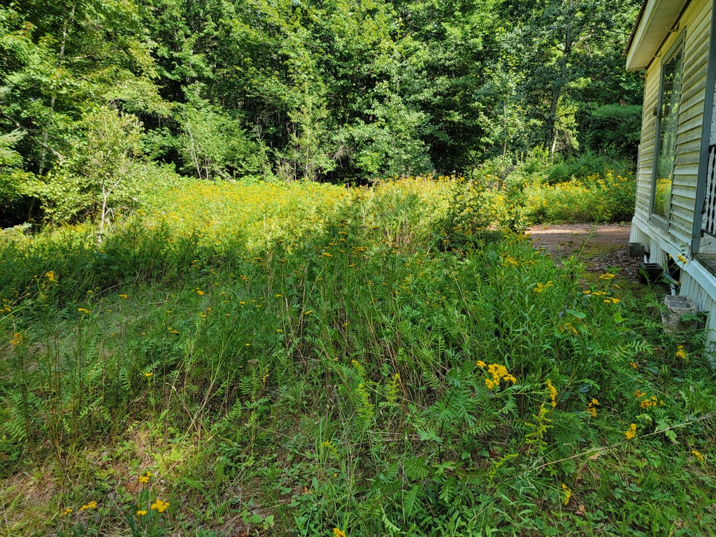 Photo of 239 Folsom Pond Road, Lincoln, ME 04457 (MLS # 1681298)