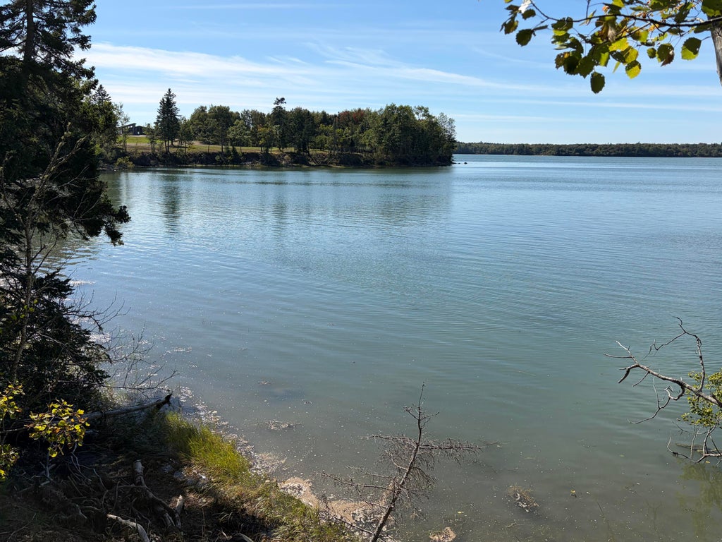 Photo of Lot #5 Timber Cove Lane, Harrington, ME 04643 (MLS # 1684689)