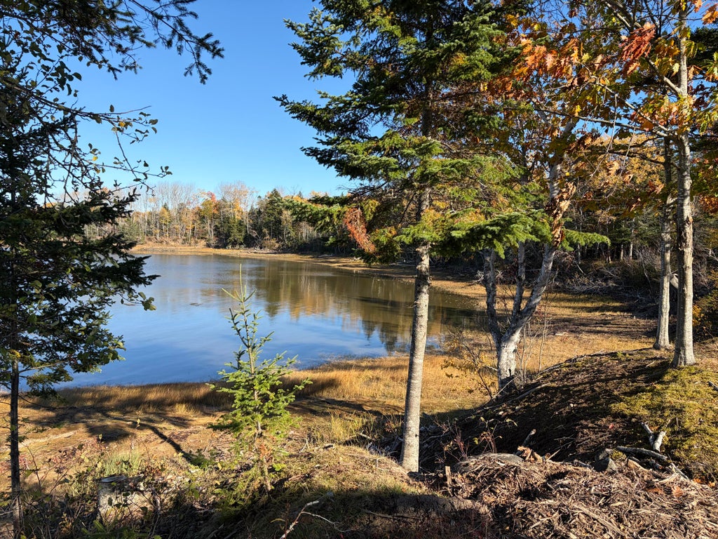 Photo of Lot #5 Timber Cove Lane, Harrington, ME 04643 (MLS # 1684689)