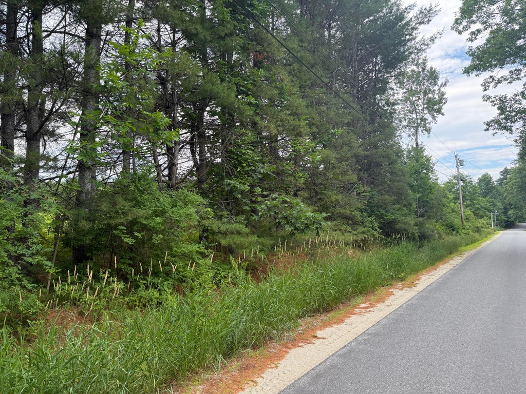 Photo of 0 Patterson Road, Mechanic Falls, ME 04256 (MLS # 1670455)