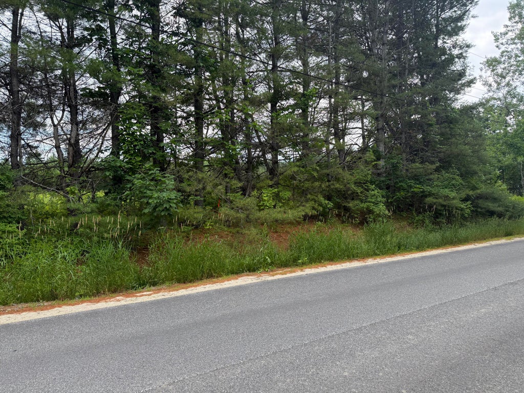 Photo of 0 Patterson Road, Mechanic Falls, ME 04256 (MLS # 1670455)