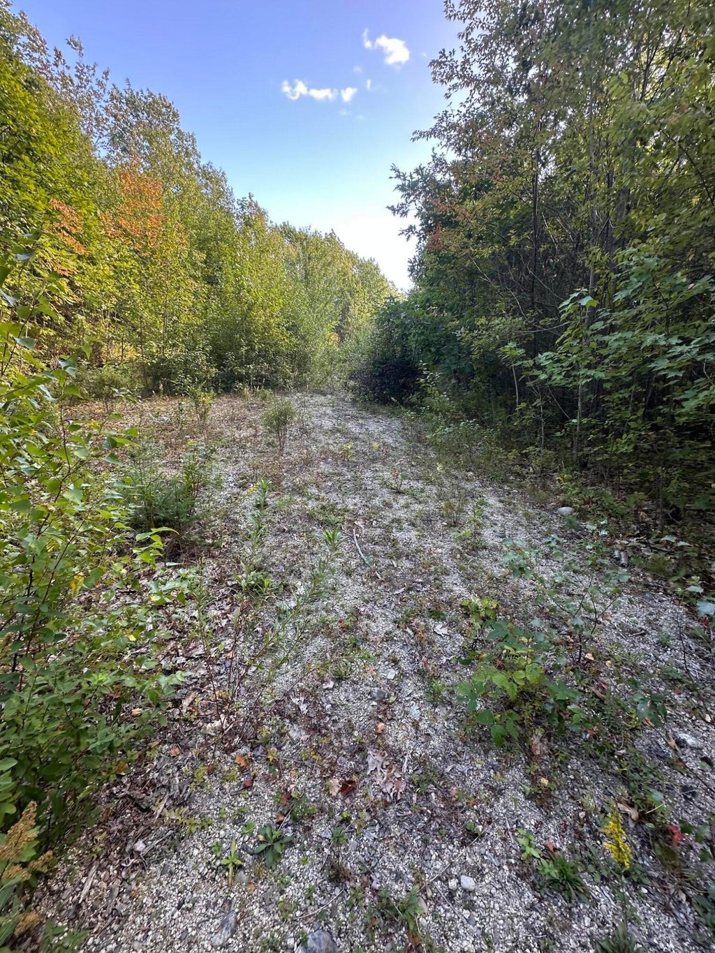 Photo of Lot 4 Unionville Road, Steuben, ME 04680 (MLS # 1664566)