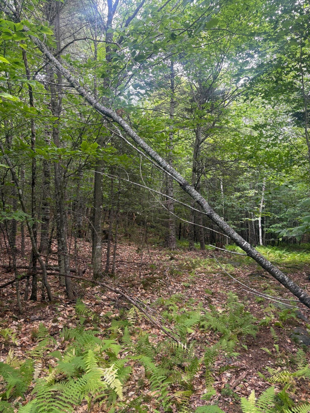 Photo of 13 Crafts Road, Greenville, ME 04441 (MLS # 1674263)