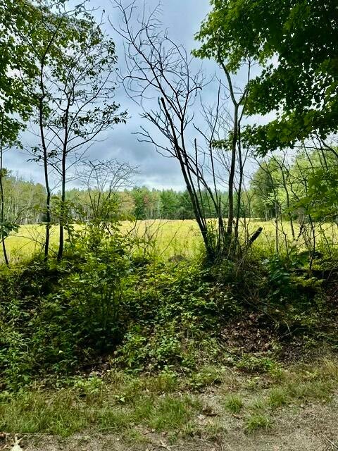 Photo of Lot 96 Heath Road, Milbridge, ME 04658 (MLS # 1679416)