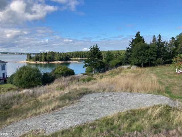 Photo of 224 Alleys Bay Road, Beals, ME 04611 (MLS # 1680629)