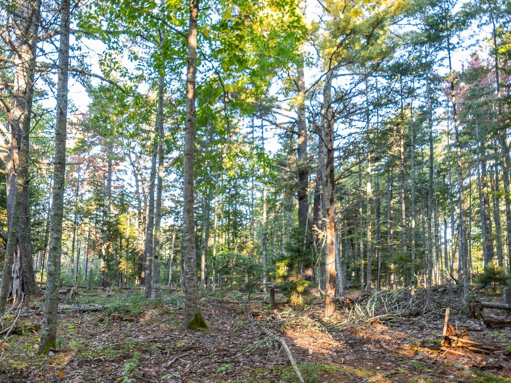 Photo of 213/17/1 Knox Road, Bar Harbor, ME 04609 (MLS # 1683158)