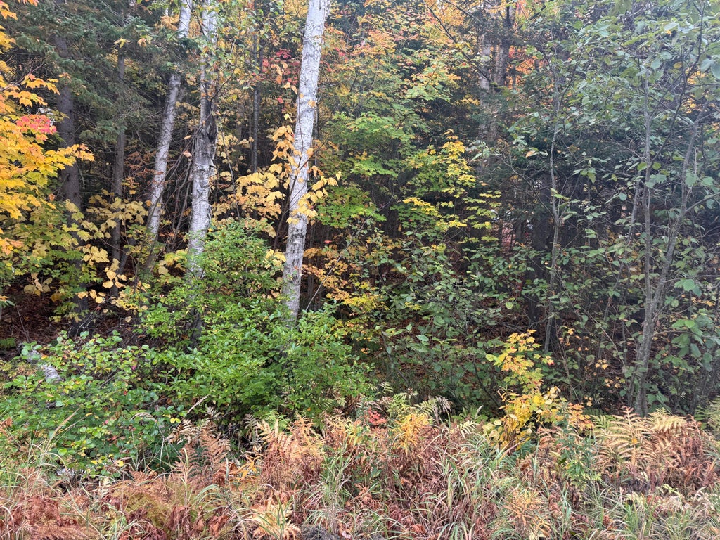 Photo of M7 L5 Bemis Road, Rangeley Plt, ME 04970 (MLS # 1681503)