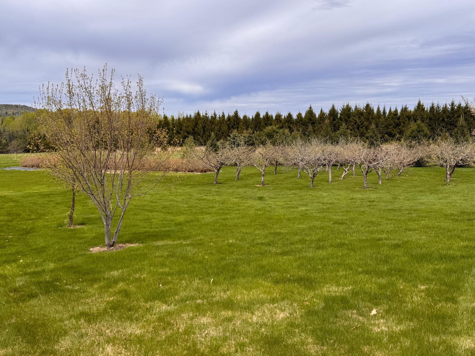 Presque Isle, Maine, 04769, United States, 5 Bedrooms Bedrooms, ,4 BathroomsBathrooms,Residential,Active,2041567