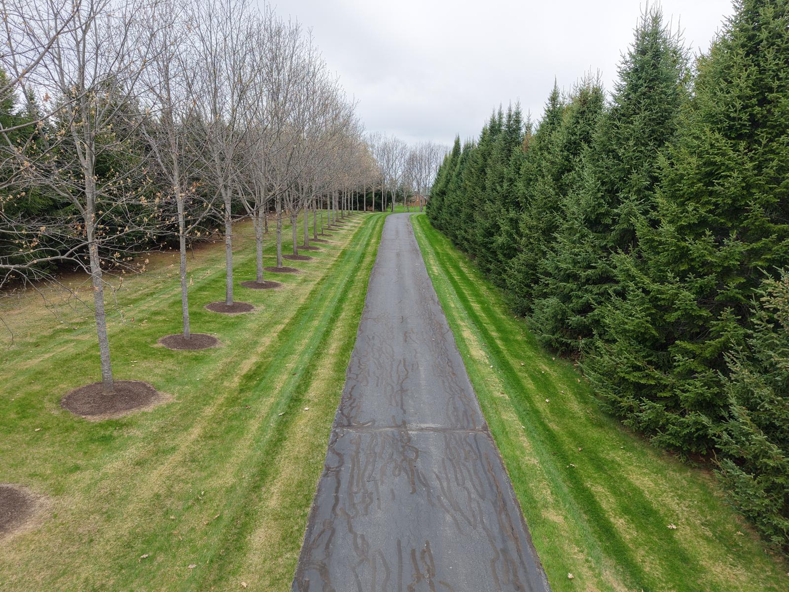 Presque Isle, Maine, 04769, United States, 5 Bedrooms Bedrooms, ,4 BathroomsBathrooms,Residential,Active,2041567
