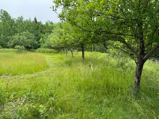 MAP 4 LOT 17 ANDREW HAM ROAD, CAMBRIDGE, ME 04923 - Image f6a6249355ba1bd5f8dee1972c90f82b/2995329339