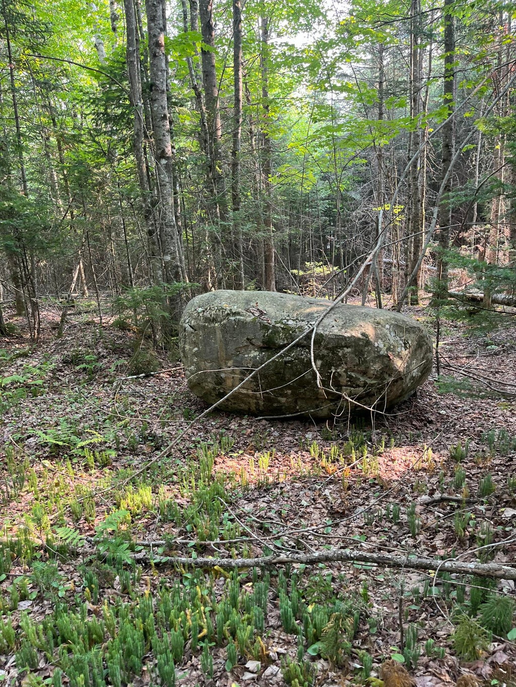 Photo of Lot 8 S East Journeys End Road, Frenchtown Twp, ME 04441 (MLS # 1675932)