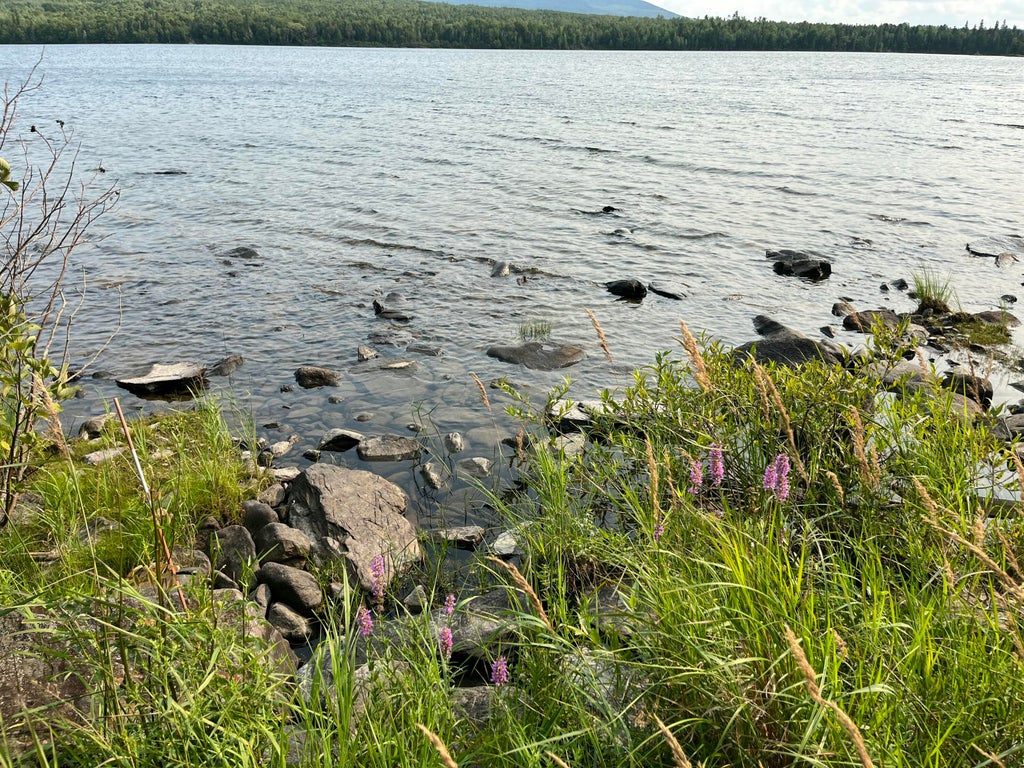 Photo of Lot 8 S East Journeys End Road, Frenchtown Twp, ME 04441 (MLS # 1675932)