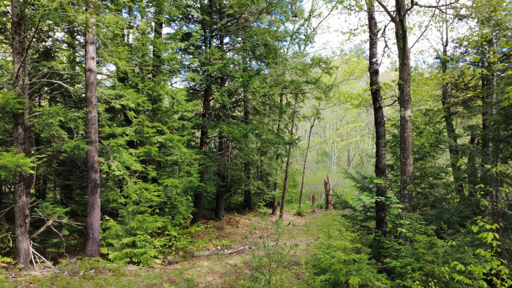 Photo of 41 Fishtown Road, Liberty, ME 04949 (MLS # 1664003)
