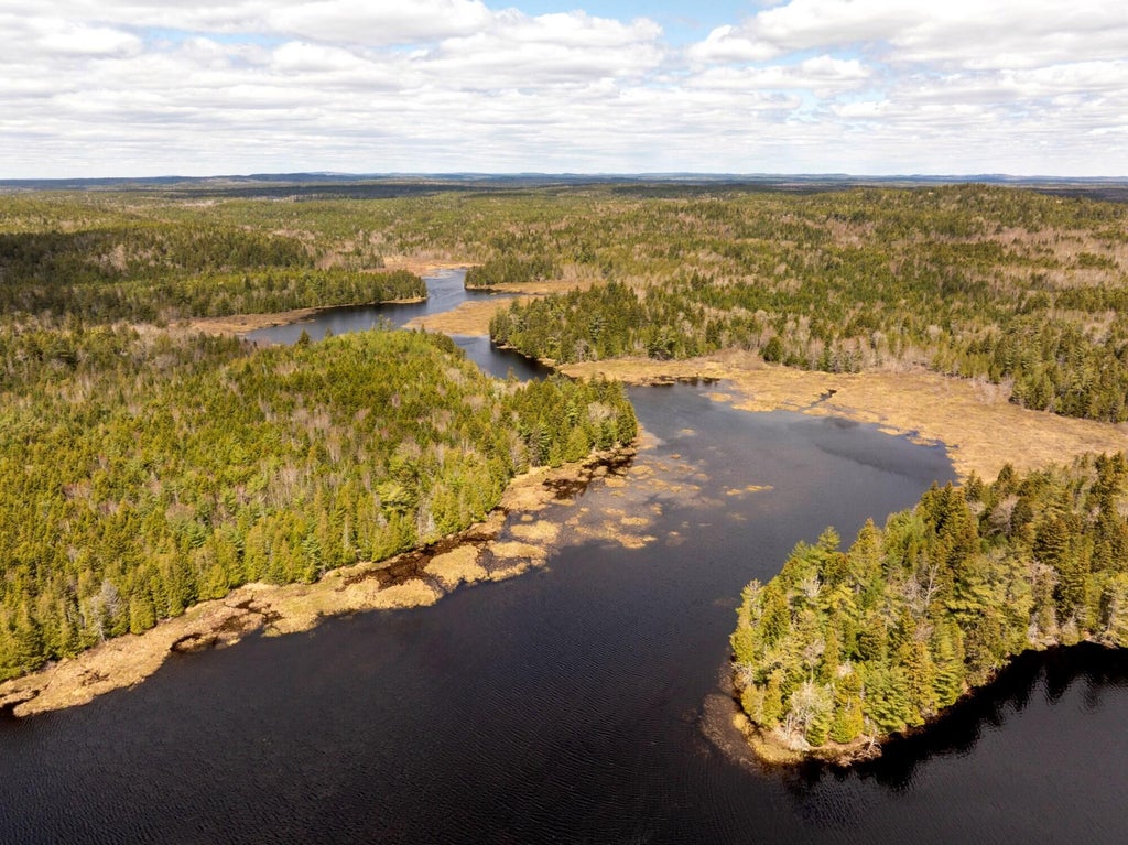 Photo of Map 12 Lot #7-A, Whiting, ME 04691 (MLS # 1669284)
