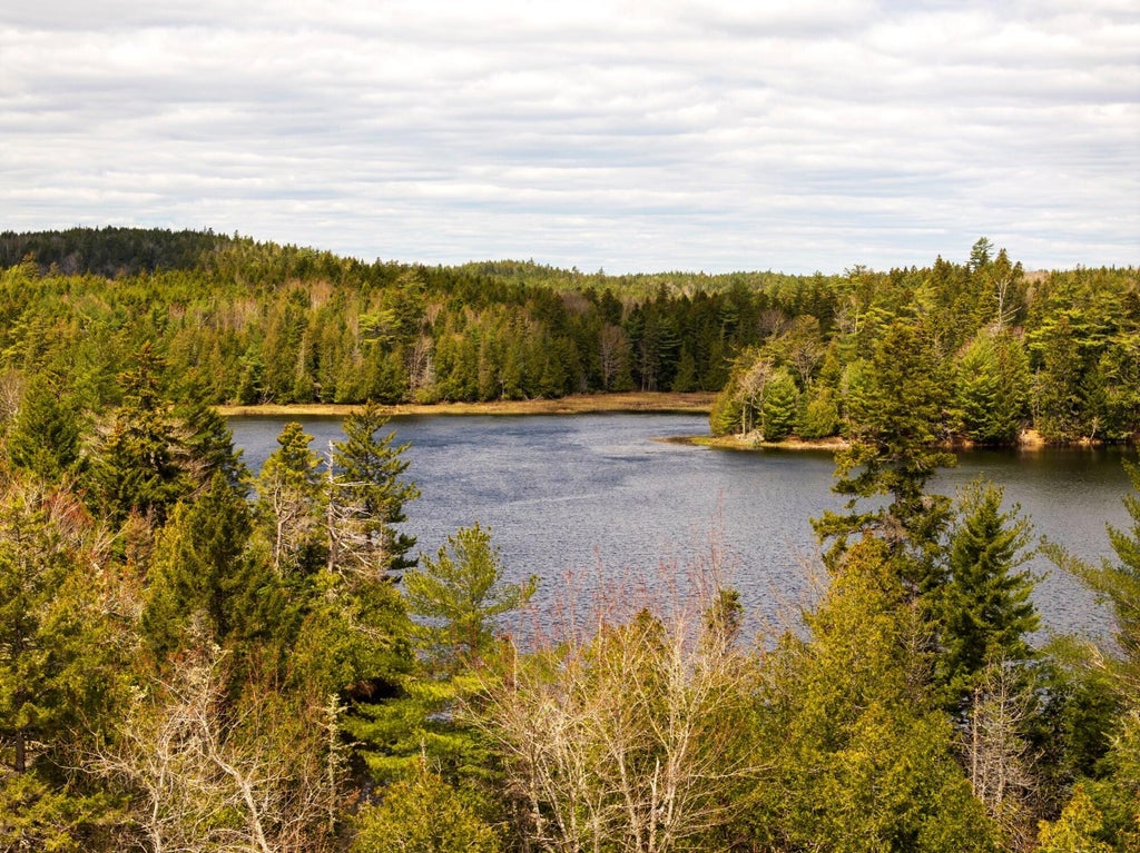 Photo of Map 12 Lot #7-A, Whiting, ME 04691 (MLS # 1669284)